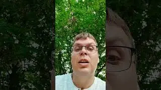 Простые слова о любви...просто слова... #love #юмор #смех #деньги #shorts