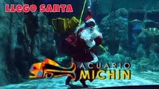 Santa en el Acuario Michin