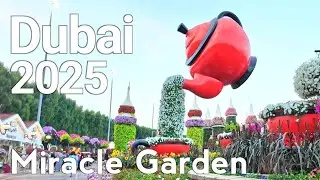 Dubai [4K] Discover the Magic of Dubai Miracle Garden 2025 🌸