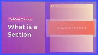 What is a section in HTML and Webflow?