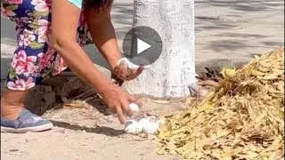 Los huevo 🥚 de culebra 🤣#bromas