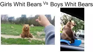 Girls whit Bears Vs Boys whit Bears