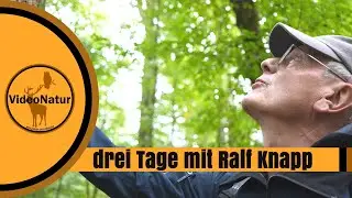Reptilium & Waldentspannung | Drei Tage mit den Förstern Ulrike und Ralf Knapp in der Südpfalz!