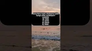 2024 VATANDAŞLIK SORU 