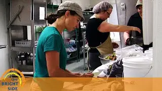 Small Business [The Bright Side 17]