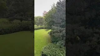 Осенняя погода в Киле