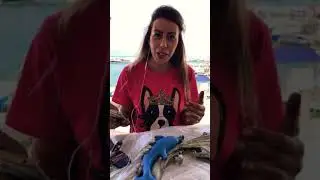 Eskitme polyester çerçeve boyama