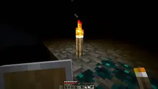 Minecraft | Sculk & Warden