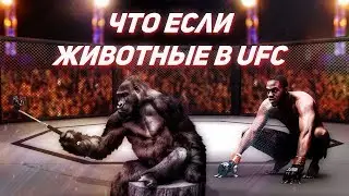 Животные в UFC