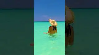 Wild swimming in perfect water 🏖 The Definition of a Perfect Caribbean beach day 