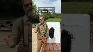 Dogs Deserve To See Clearly!