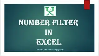 Number Filter in Excel