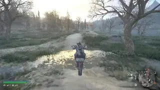 Southern Journey with Iron Mike - Exploring New Horizons - DAYS GONE PS5
