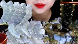 ASMR Raw shrimp&sea cucumber eating sound mukbang