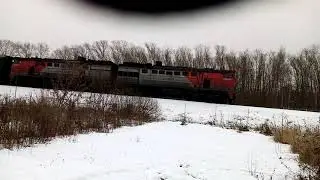 Поезд везет березовые бревна