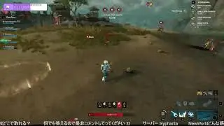 interrupted fishing [New World MMO]