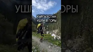 ЖИВЕМ В ГОРАХ #горы #блог #собака #путешествия #влог #кыргызстан