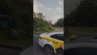 Листья на бордюрах