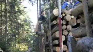 2012_wildsau_dirt_run.MP4