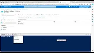 Persisting Data in Azure Container Group using FileShare 