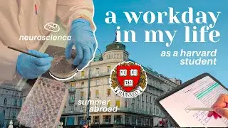 what i'm doing this summer! harvard neuroscience major, internship abroad vlog