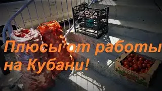 #91 Какие плюсы могут быть от работы торговым представителем на Кубани.