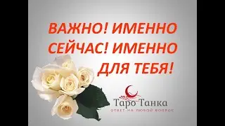ВАЖНО! ИМЕННО СЕЙЧАС! ИМЕННО ДЛЯ ТЕБЯ! ПОДСКАЗКИ ОТ В.С.