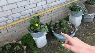ДНЕВНИК РАССАДНИЦЫ/УСТАВШАЯ, НО ДОВОЛЬНАЯ.2023