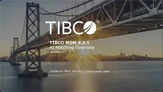 AI Matching in TIBCO MDM