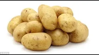 Potatoes_part_5.mp4
