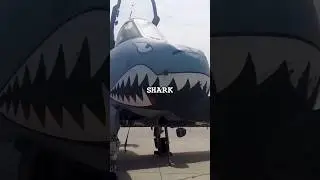 Why the A-10 Warthog has a Shark on it’s Nose