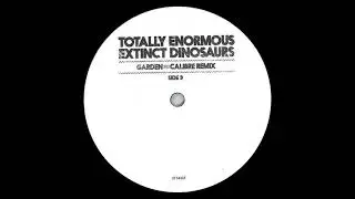 TEED - Garden (Calibre Remix) (Koch's Vocal Edit)