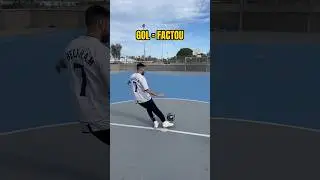 GOL=FACTOU 