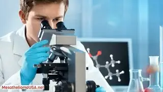 Mesothelioma Pathology - Making the Diagnosis of Mesothelioma