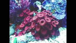 [free] pierre bourne x playboi carti x icytwat type beat | "ocean element" prod. beetie beats