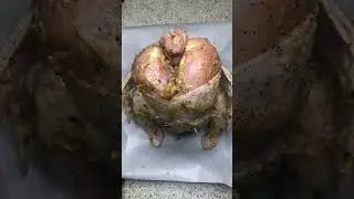 Why did I put a chicken on a jar?
