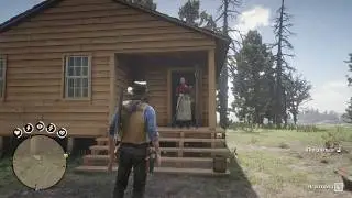 Добрый день, мэм, 2 ! - Red Dead Redemption 2