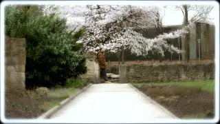 Tibes - Uram (Mi Atyánk)