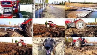 NADAS - BUĞDAY Ekimi - TIRMIK Çekimi