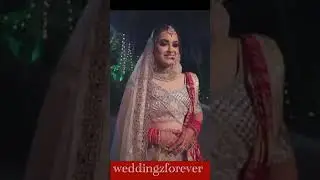 Must-See Wedding Highlights: #Viral #Shortfilm