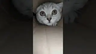 милаш)))
