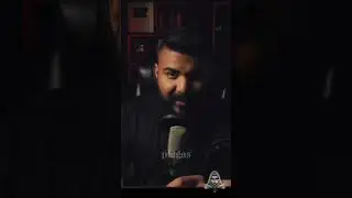Los Gatos Negros Pueden Percibir Espiritus 