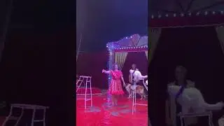 Circus 🎪 Fenix 🇧🇬 Bulgaria #circus #show #cat #trainingcat #animals #kitty #funny #pets