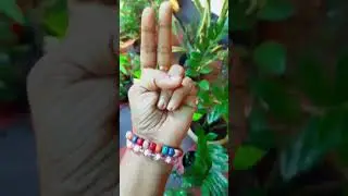 കാഴ്ചശക്തി കൂട്ടാൻ ഇത് ചെയ്താൽ മതി Increase Eye Sight naturally