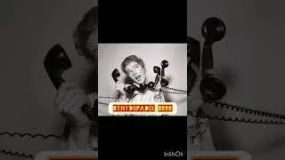 Bynydspadix song: BRRR
