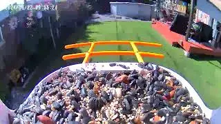 Our new video Bird Feeded…