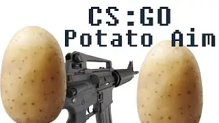 CS:GO - B Fake and Potato Aim