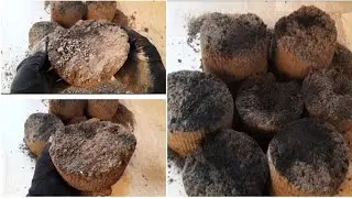 Charcoal dry crumbling little bit hard h but satisfying h 😌 #oddlysatisfying #sleepaid