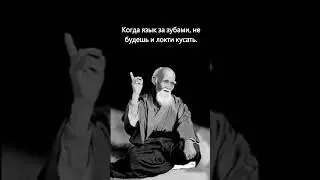 Язык  #высказывание #цитата #умное #веселое #смешное #интересное