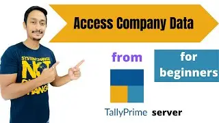 Access Company Data From Tally Prime Server